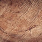 Hoe vind je de perfecte houtklover voor jouw outdoorwerkzaamheden?